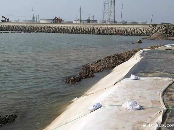 挖好池子为水产养殖防渗膜铺设做准备 挖好池子为水产养殖防渗膜铺设做准备