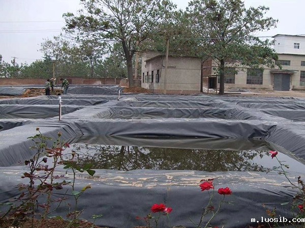 防渗膜厂家会积极处理土工膜破损现象 防渗膜厂家会积极处理土工膜破损现象