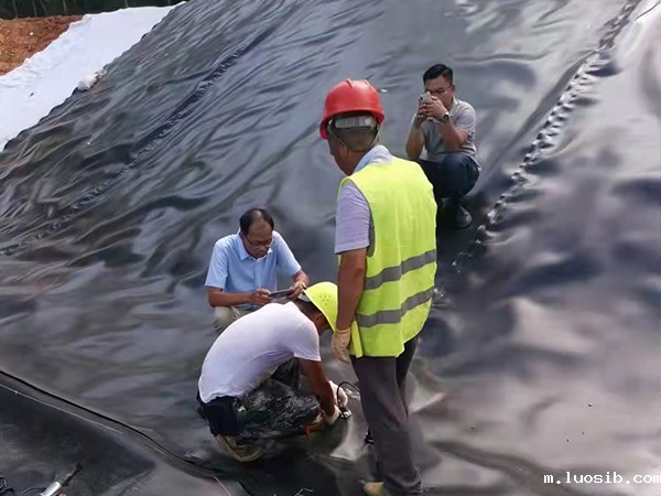 水产养殖防渗膜施工过程中须严格谨慎 水产养殖防渗膜施工过程中须严格谨慎