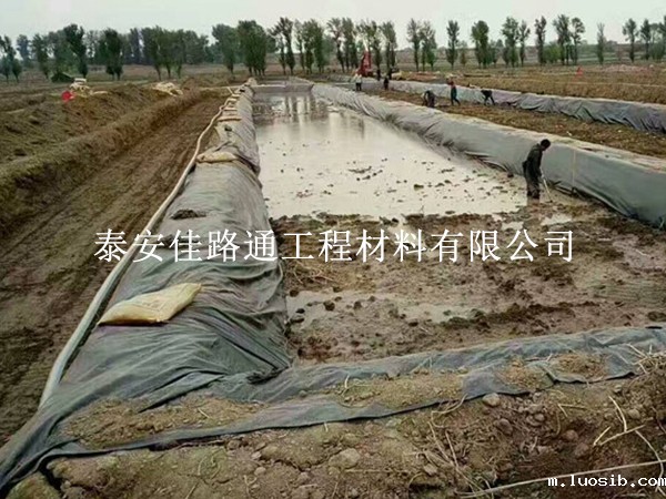 防渗膜厂家须做好养殖防渗膜抗老系数提升 防渗膜厂家须做好养殖防渗膜抗老系数提升