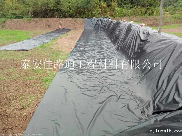 浅水藕池养殖防渗土工膜施工细节把控 浅水藕池养殖防渗土工膜施工细节把控