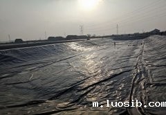 佳路通土工膜用于泰安景观湖防渗项目