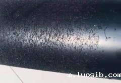 hdpe星空体育手机网页版登录