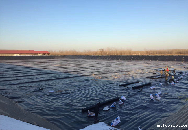 土工膜施工图片