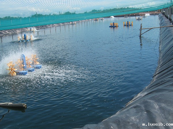 哪些优势是促进水产养殖膜使用的关键点？