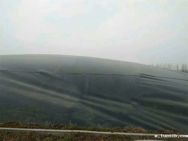 运营黑膜沼气池是一门“必修课”