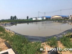鱼虾养殖土工膜