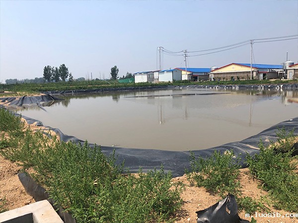 鱼虾养殖土工膜