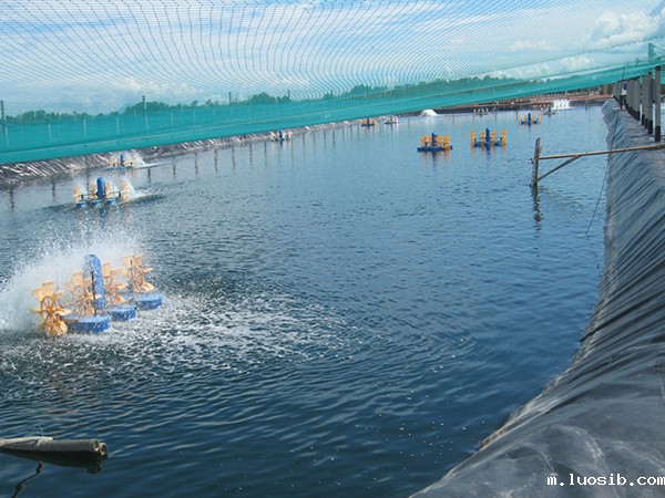 水产防渗膜铺设现场有哪些细节须关注？