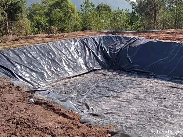 归纳总结养殖土工膜的施工要求