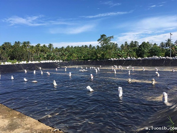 确保防渗膜的化学性质稳定性至关重要。