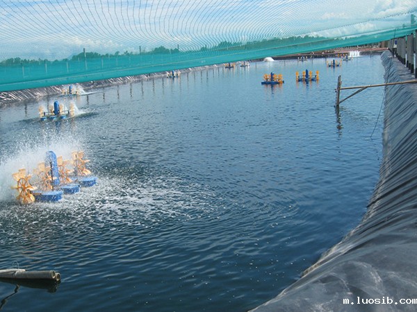 水产土工膜施工过程中该如何进行基面清洁？