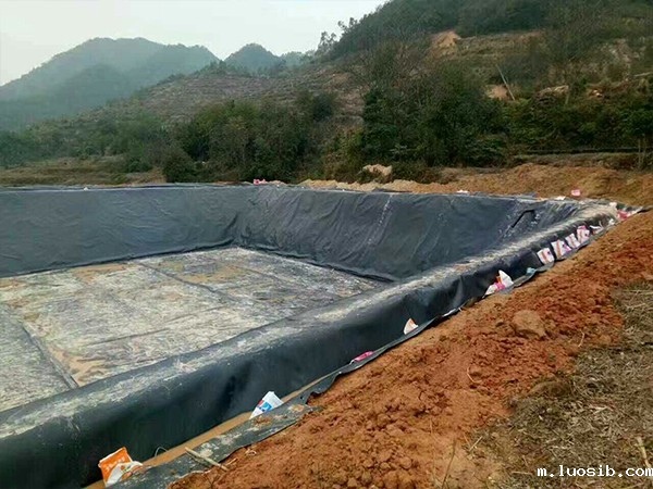 如何合理有效铺设沼气池防渗膜？