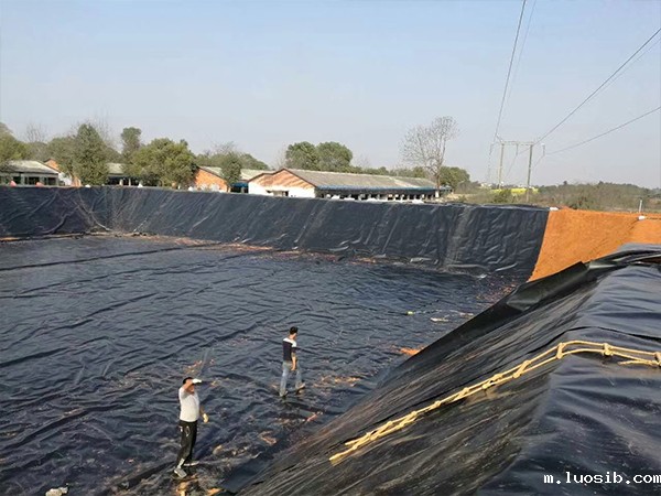 江西养猪基地建设选择佳路通养殖防渗膜