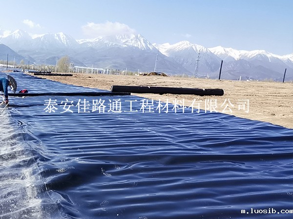 防渗膜厂家给您支招，选择好的鱼塘防渗膜