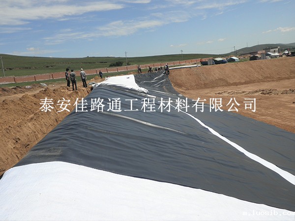 人工湖防渗膜的防水领域有一定优势存在