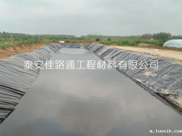养殖防渗膜在甲鱼养殖方向“功不可没”