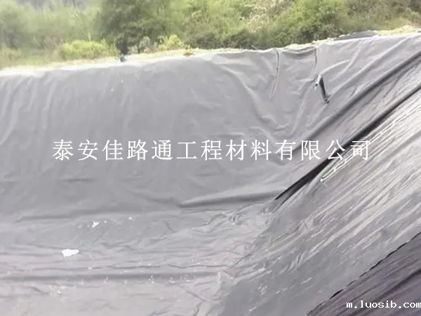 防渗星空游戏登录平台官网抗生物侵蚀能力：一种创新视角