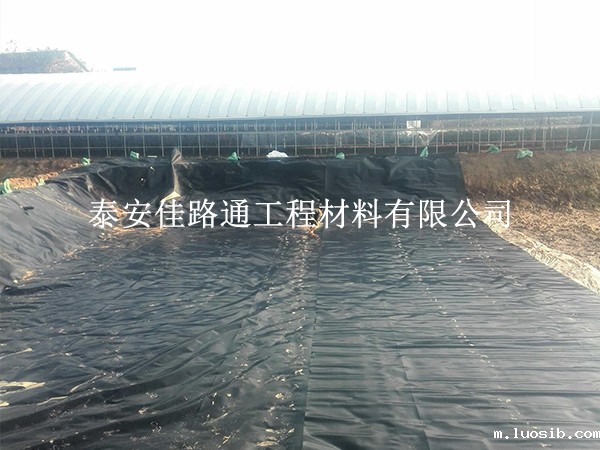 水产养殖防渗膜的特殊施工处理：创新与实践