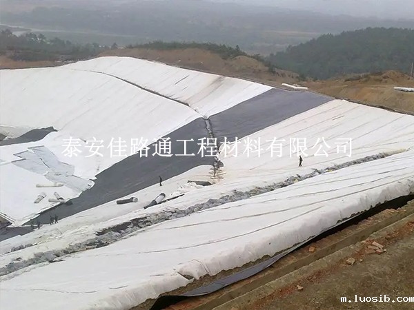 垃圾填埋场防渗膜选择技巧：绿色守护，从“膜”力开始