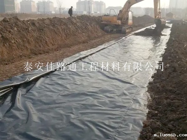 鱼塘防渗膜保护：创新策略与实用方法