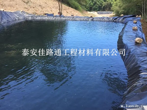 防止鱼塘防渗膜出现大面积沉降的创新策略