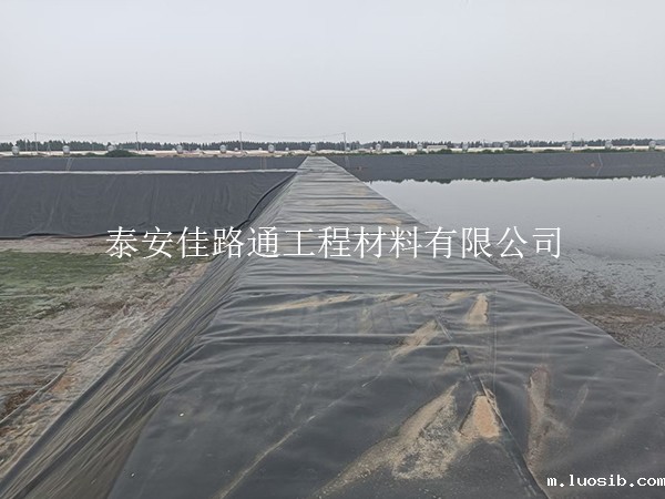 水产养殖防渗膜：守护水质的“隐形盔甲”与防刺破秘籍