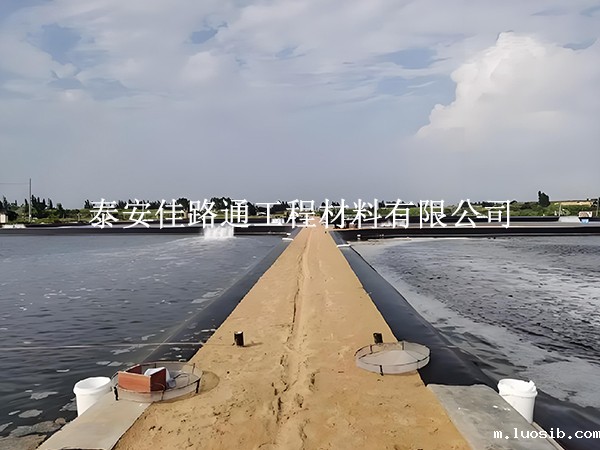 水产养殖防渗膜锚固施工方法：简单新颖的实践指南