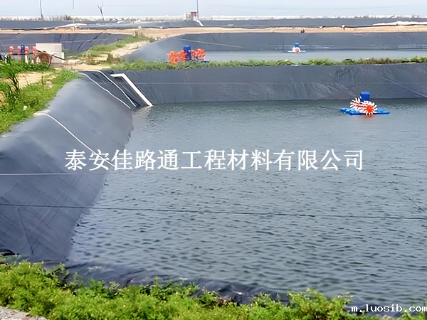 鱼塘防渗膜：对鱼儿生长的微妙影响