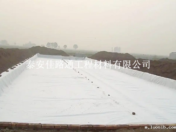 星空游戏登录平台官网：水产养殖的新守护者