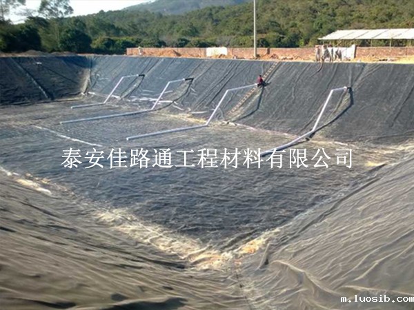 水产养殖防渗膜铺设施工技巧：精准高效，守护养殖绿洲