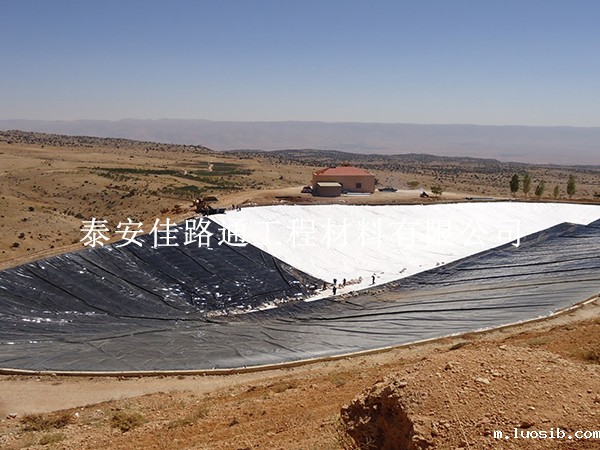 人工湖防渗新纪元：防渗膜如何筑起细菌防护的隐形长城