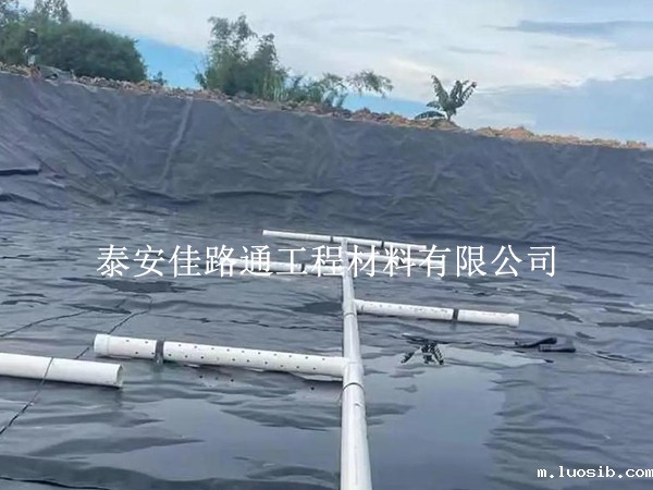 防渗膜的“隐形盾牌”作用：从渗透性看水产养殖的稳产秘诀