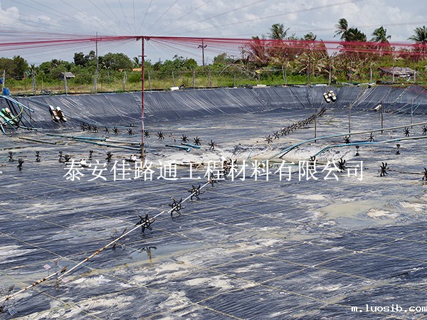 水产养殖防渗膜在藕池坝体防渗施工中的关键操作技巧