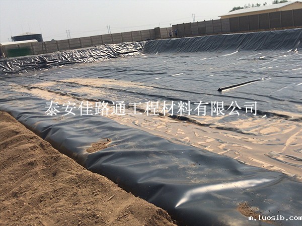 选对鱼塘防渗膜，关键看这3点