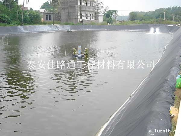 鱼塘防渗膜老化快?这些因素在悄悄影响使用寿命 鱼塘防渗膜老化快?这些因素在悄悄影响使用寿命